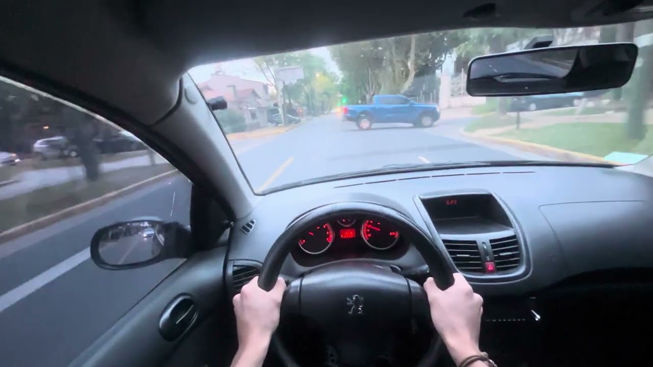 PEUGEOT 207  2010 - POV - TESTDRIVE.ARG