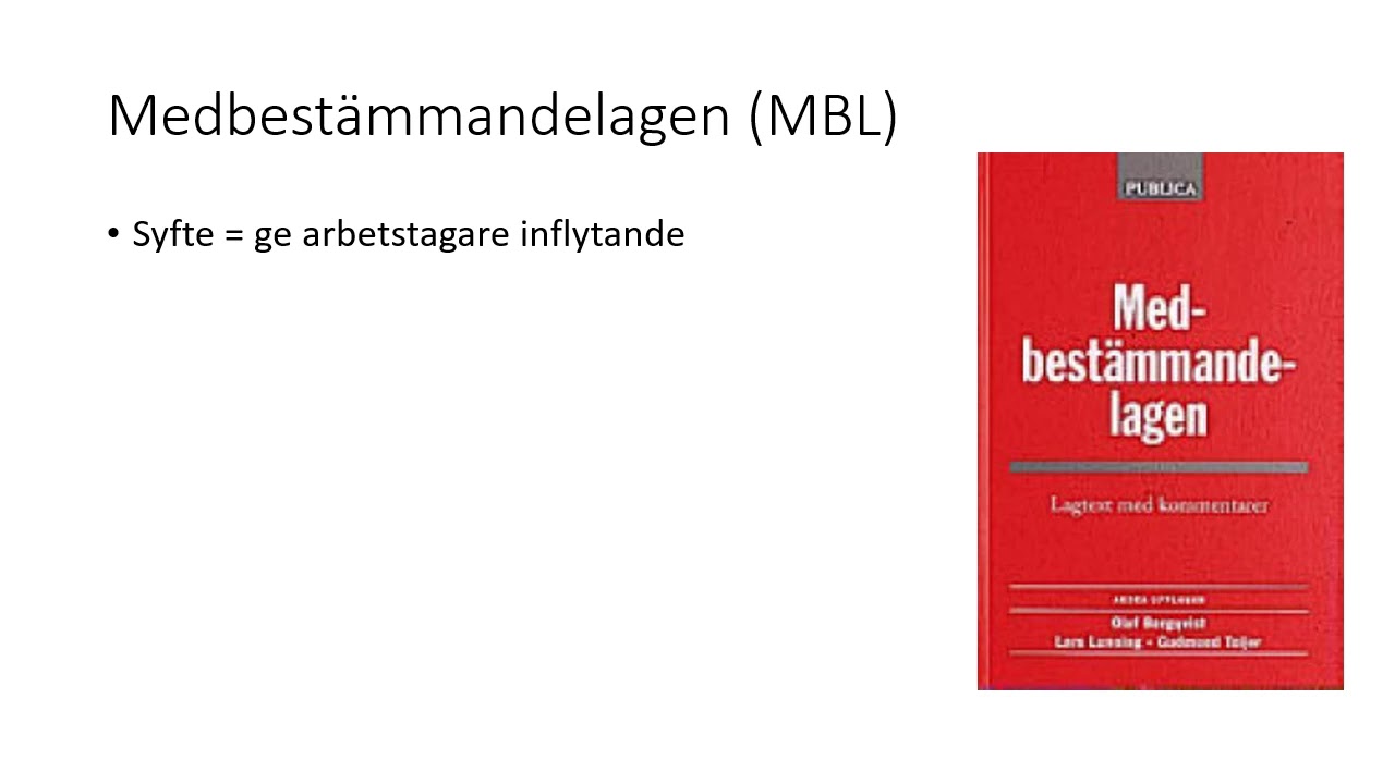 Vad är grejen med lagar på arbetsmarknaden?
