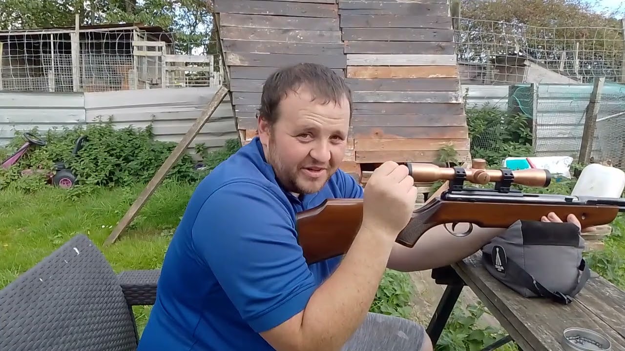Abit of plinking with the bsa