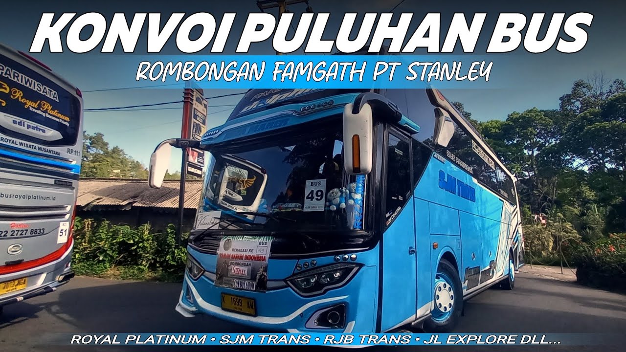 [FULL BASURI‼️] Konvoi Puluhan Bus Rombongan Famgath Di Taman Safari Bogor