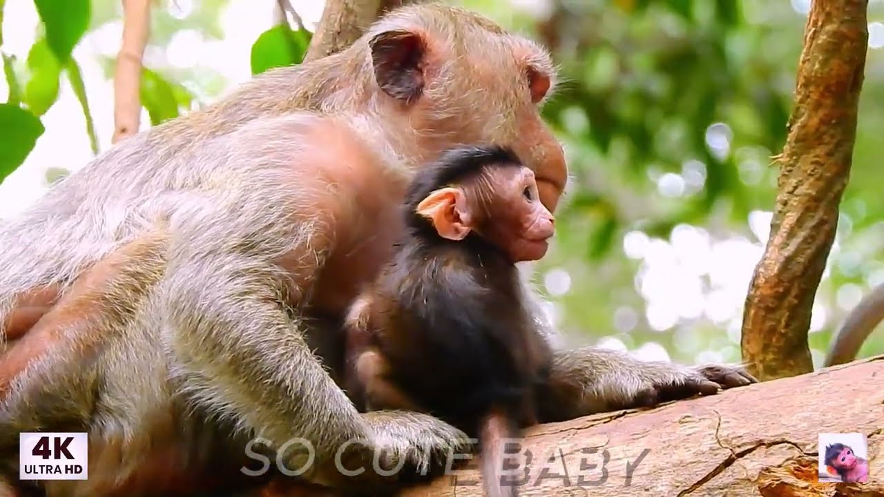 ...! SO CUTE BABY