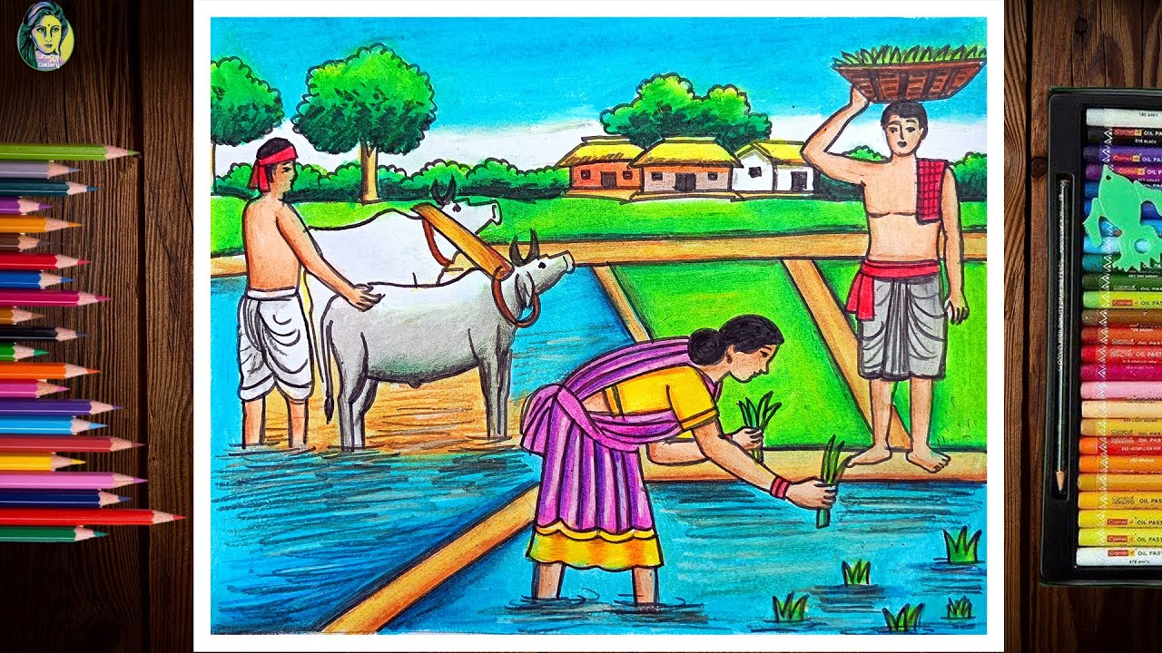 Paddy Field With Farmer Scenery Drawing Easy | Cultivation Scenery Drawing | Village Farmer Drawing