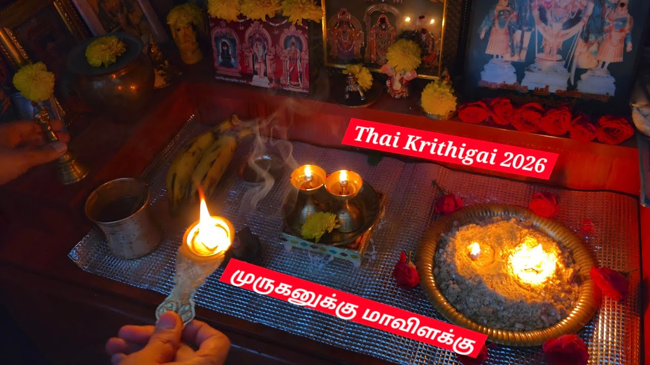 Don't miss this Thai Krithigai! |முருகனின் அருள் பெற மாவிளக்கு!