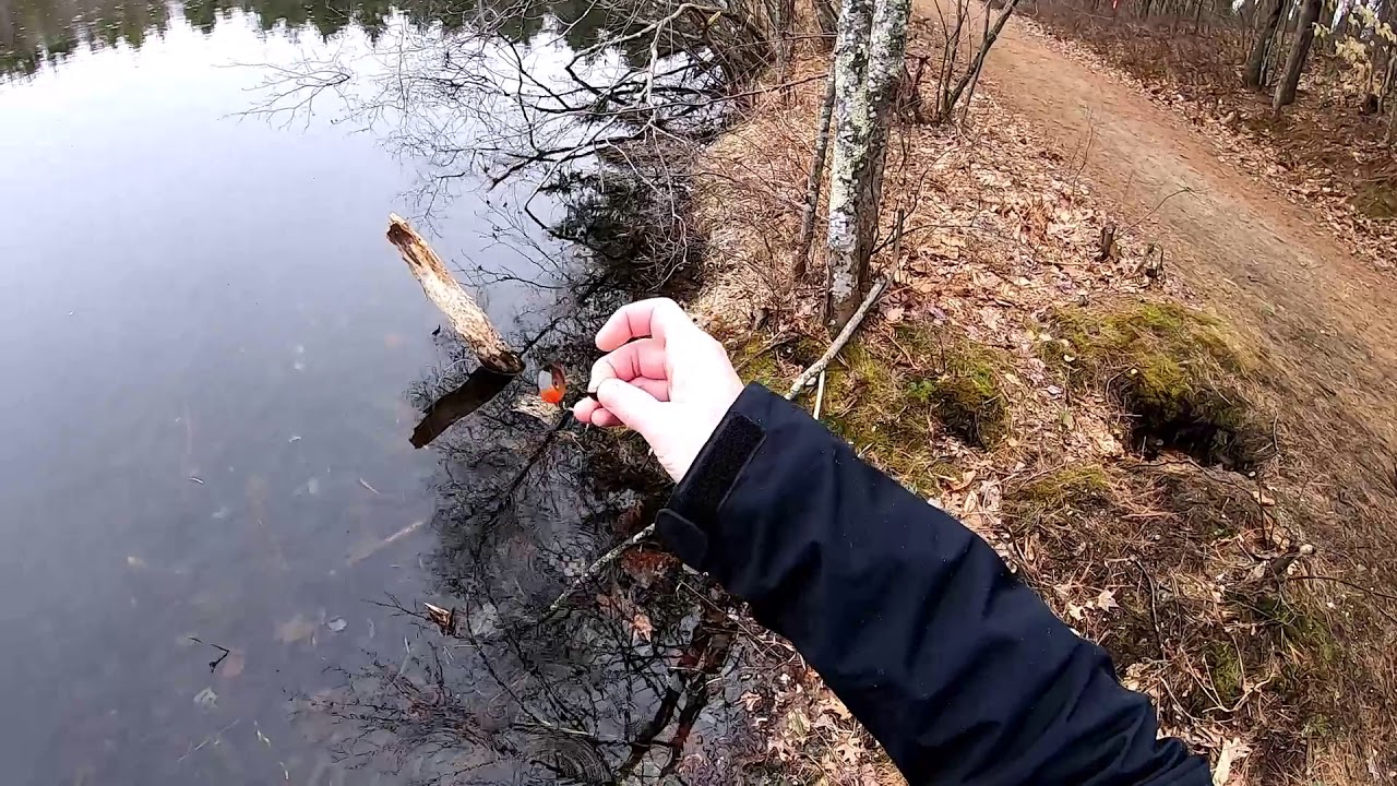 Chaffin Pond (The day after)