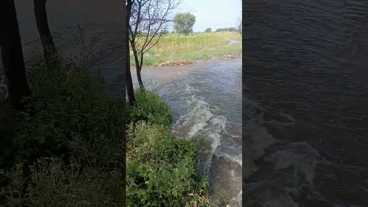 flood in Gujarat 2024 #flood #floodinpakistan #2024
