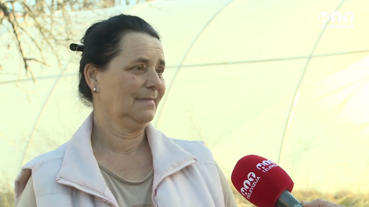 Nepoznati pocinilac unistio 12 plastenika u Gornjem Rahicu - Hit Televizija Brcko