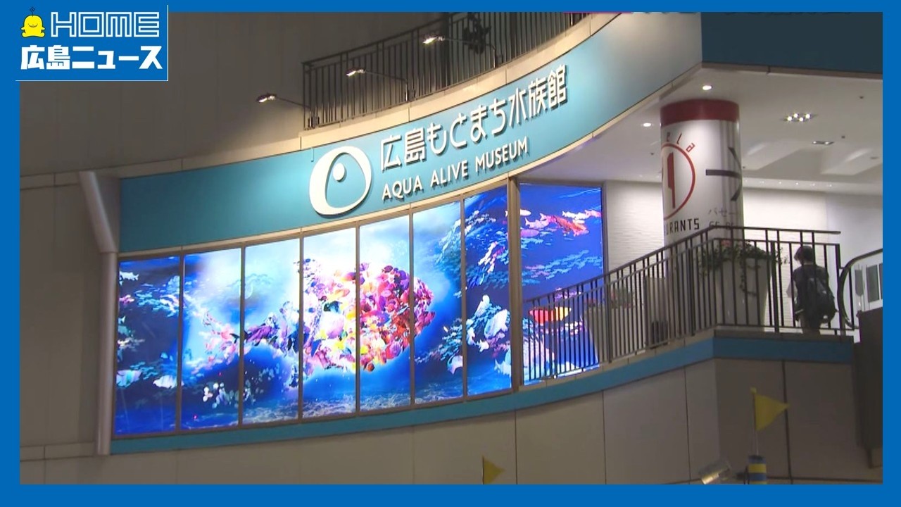 【現地からリポート】広島もとまち水族館オープン 11月1日にはフードホール「reDine」も｜パセーラ｜HOME広島ニュース