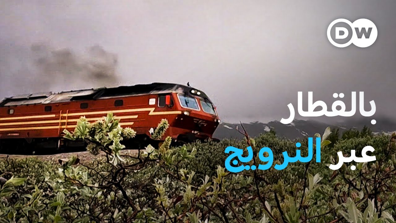 وثائقي | النرويج - رحلة قطار إلى القطب الشمالي | وثائقية دي دبليو