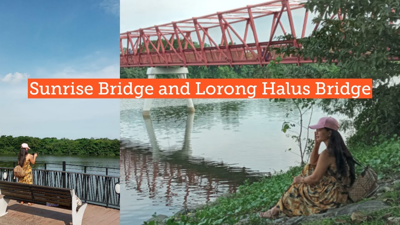 Sunrise Bridge || Lorong Halus Bridge || How to go Sunrise and Lorong Halus Bridge || Singapore