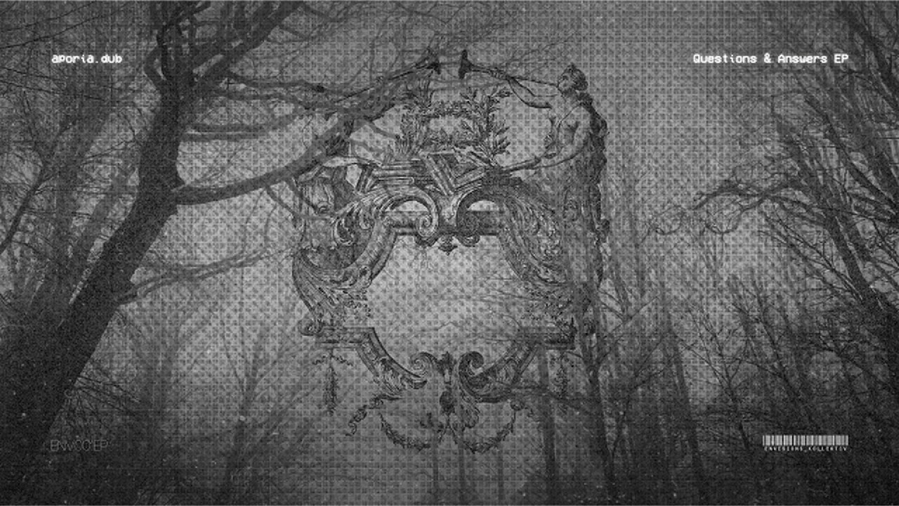 aporia.dub - Elusive Answers (Visualizer)