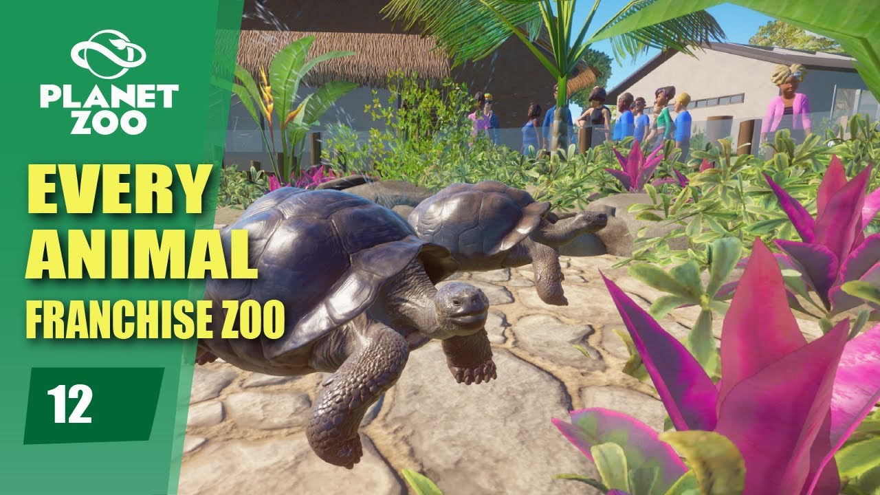Tortoises and Bears! Planet Zoo Every Animal Franchise Zoo (Part 12)