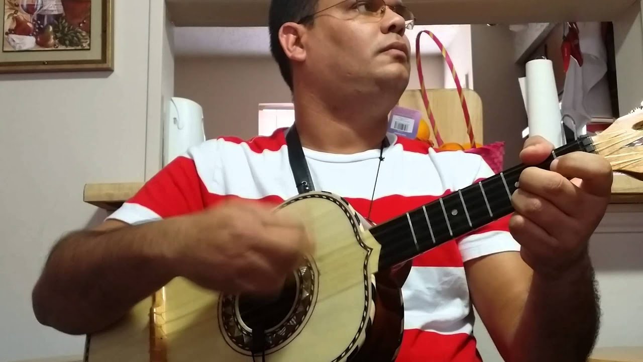 Son del Palmero Mariachi Vargas(vihuela)