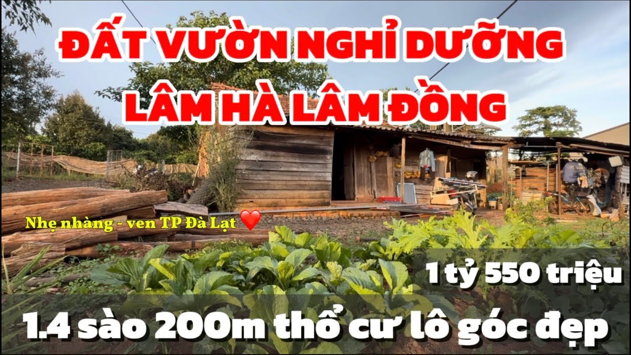 Đất Vườn Lâm Hà Siêu Đẹp Lô Góc - 300m tới Trung Tâm, 200m2 Thổ Cư Sẵn!