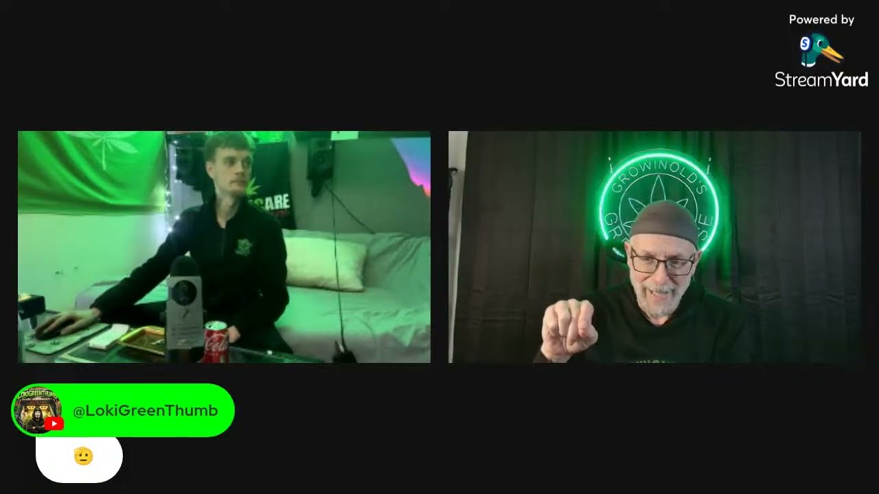 chill and chat GREENTALK FAMILY VIBES