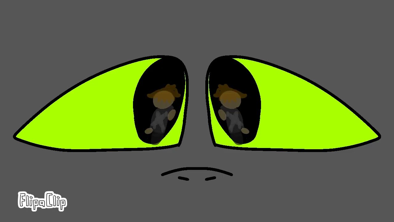 Toothless x Light Fury #1 (SSN.2)