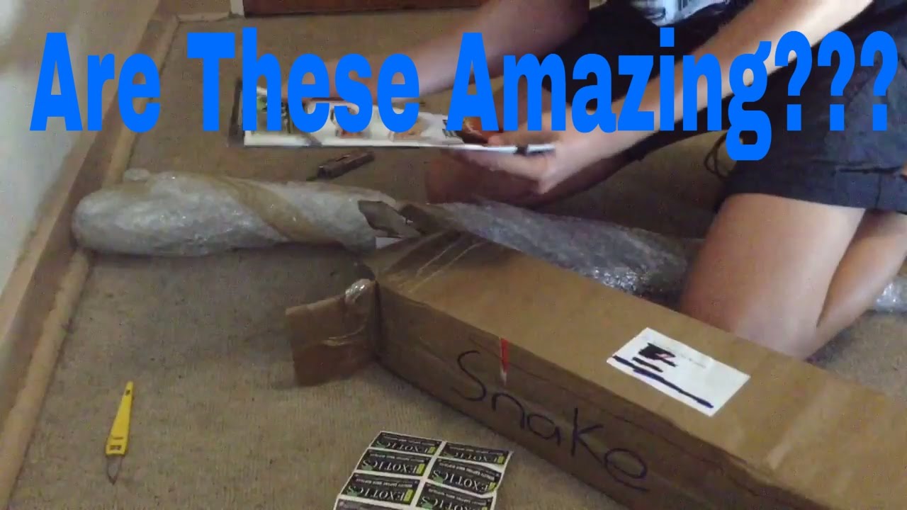 The Best Snake Tongs??? Snake Tong Review