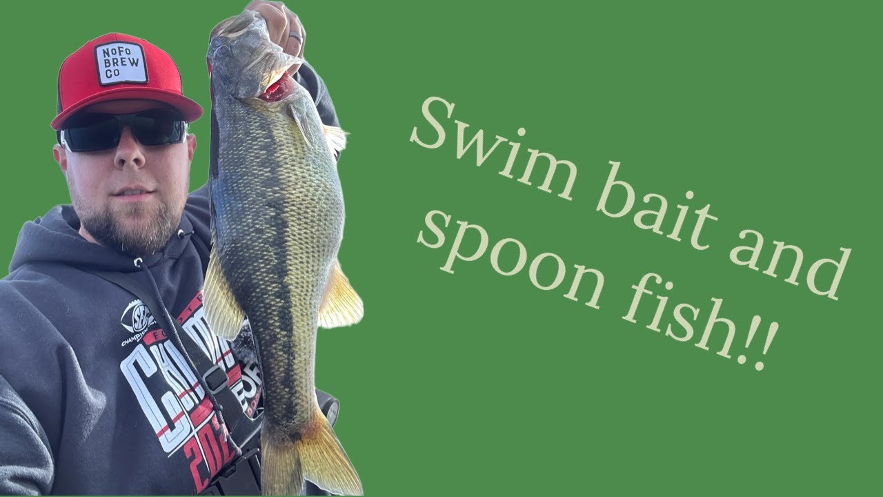 Swim bait and Spoon Fish - Lake Lanier