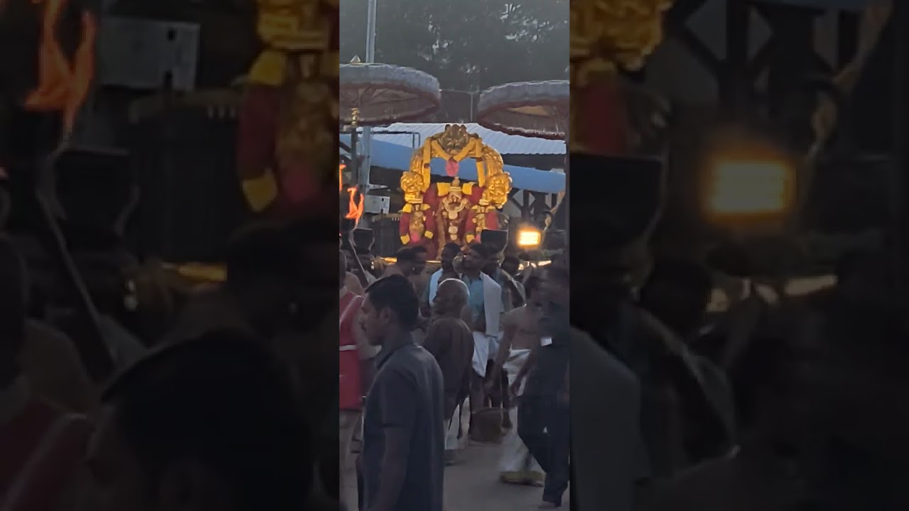 నమో వేంకటేశా యా నమః ఈరోజు సాయంత్రం స్వామివారి ఉరేగింపు కన్నుల పండగ జరిగినది మాకు చూసే అదృష్టం 