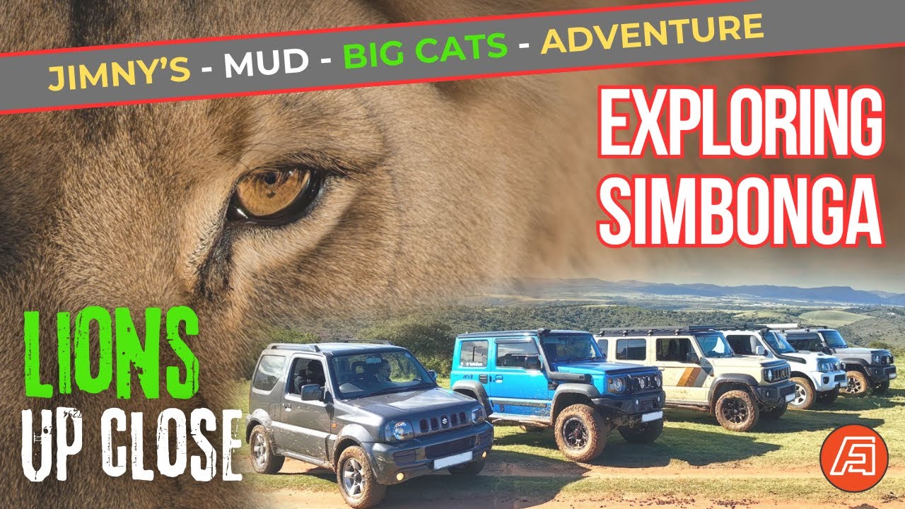 Seeing Lions up close and tackling some muddy climbs