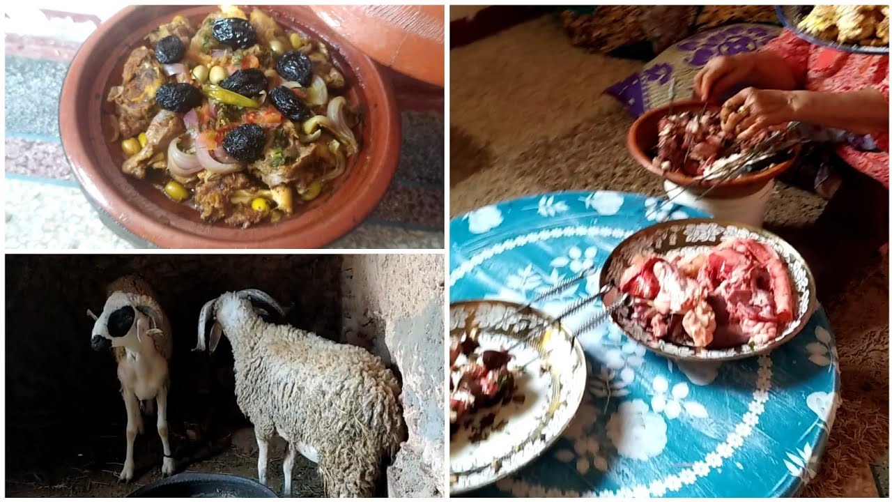 أجواء العيد الاضحى مع العائلة ديالي في البادية 🐏 ♥️🎉