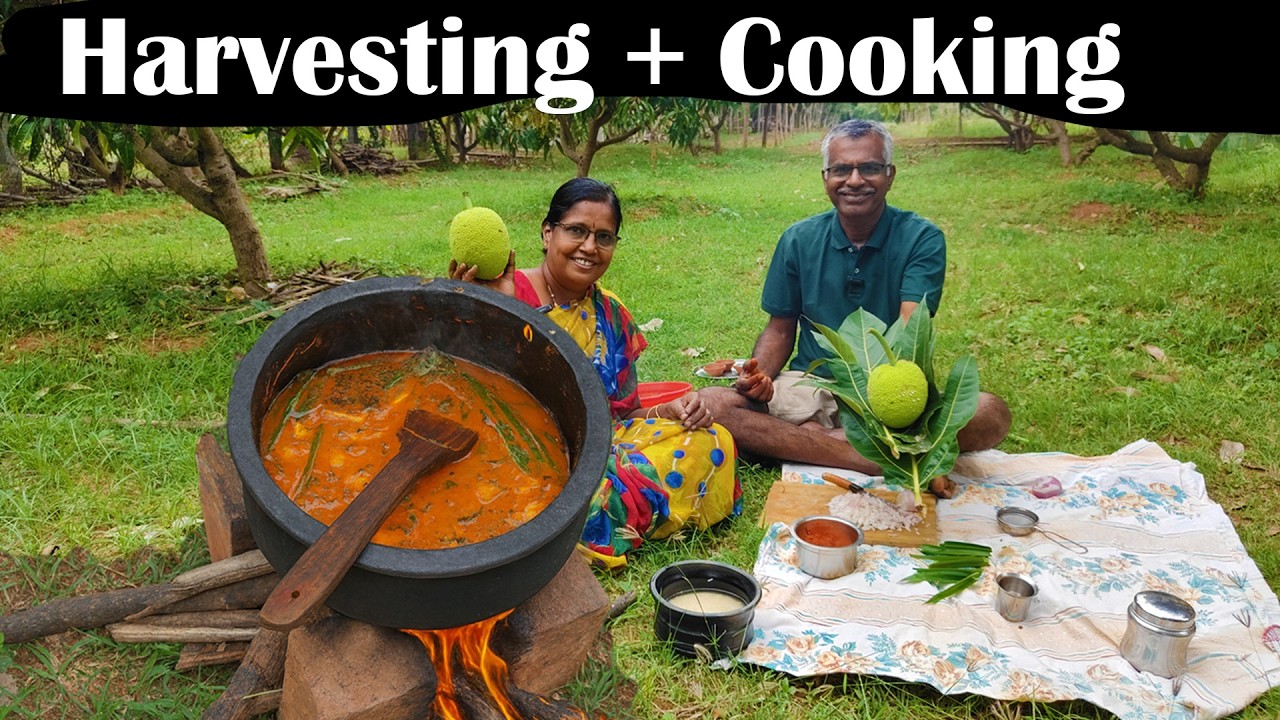 🍛🍛 பிரியாணி Harvest & Cooking Natural Farm🔥 | Cooking Vlogs #farming #cooking