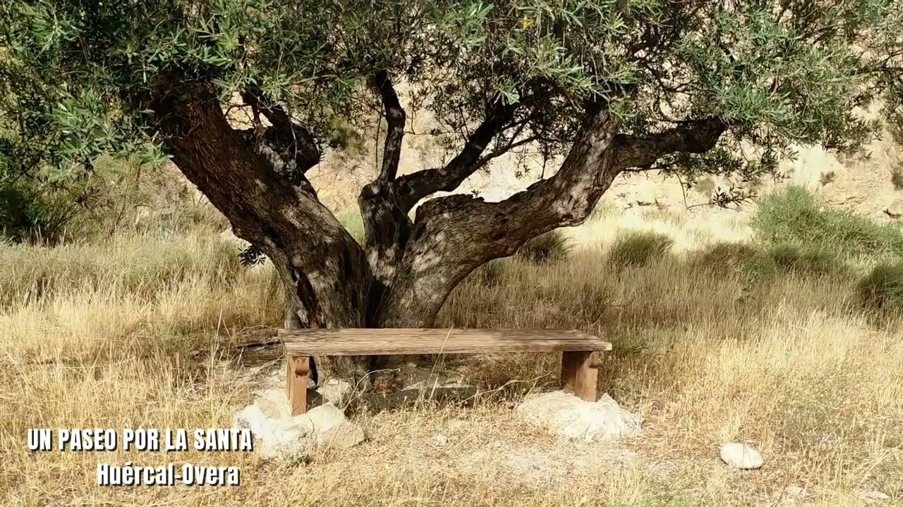 CONOCE LOS RINCONES MAS BONITOS DE HUÉRCAL-OVERA