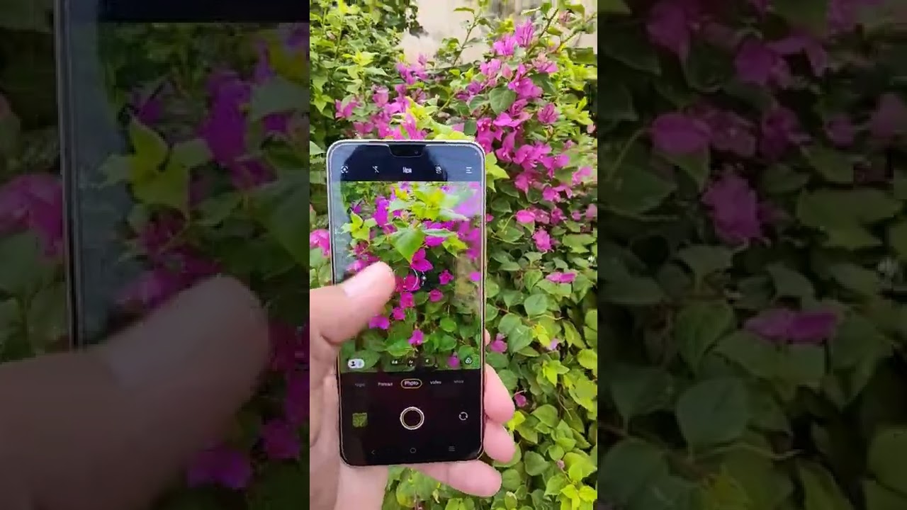 Vivo V23 Look and Camera Result 🔥 #shorts #shortvideo #youtubeshorts #viralvideo