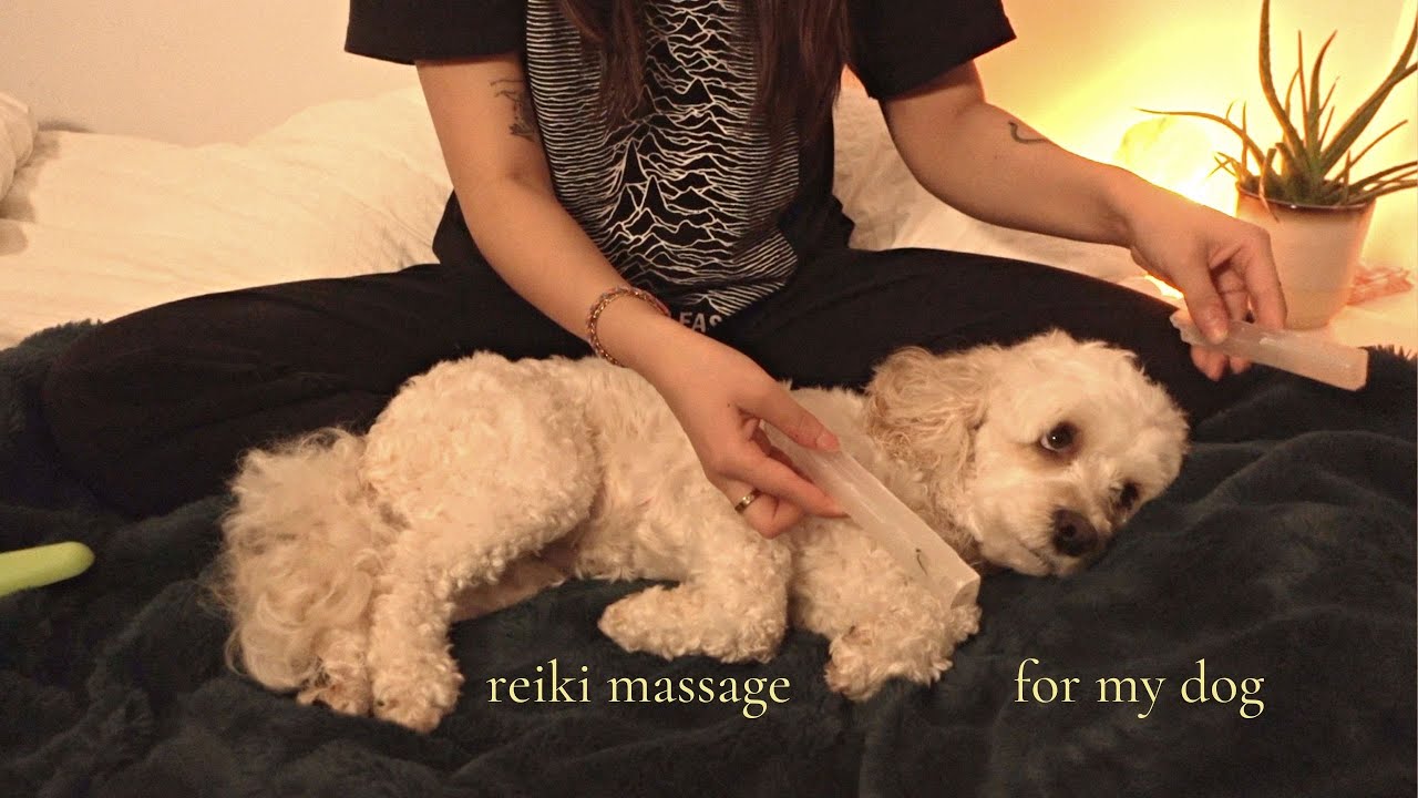 ASMR Reiki Massage on my Dog (Chakra Cleansing, Crystals, Hand movements, Softspoken, Rain sounds)