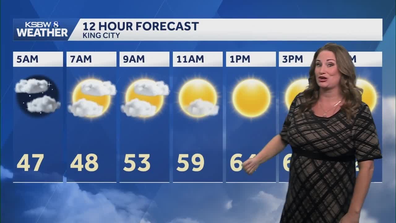Strong winds and warming trend forecast for Central Coast