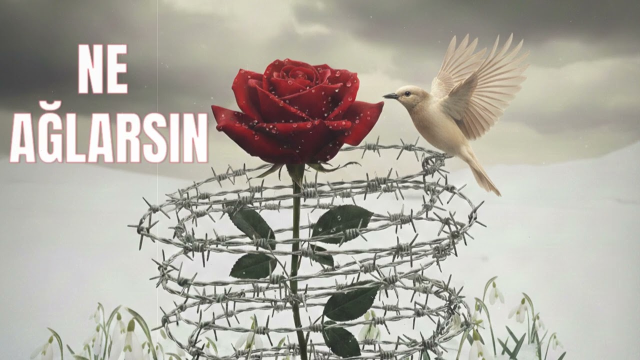 NE AĞLARSIN (ai cover)