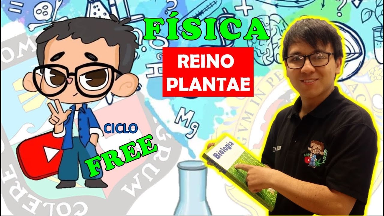 [ BIOLOGÍA FREE ] - REINO PLANTAE - Briofitas, Pteridofitas, Gimnospermas, Angiospermas 💚🌿🌱🌴