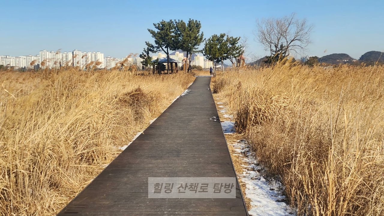 사진과 힐링 여행 ✨ 소래습지공원 하루 코스 공개