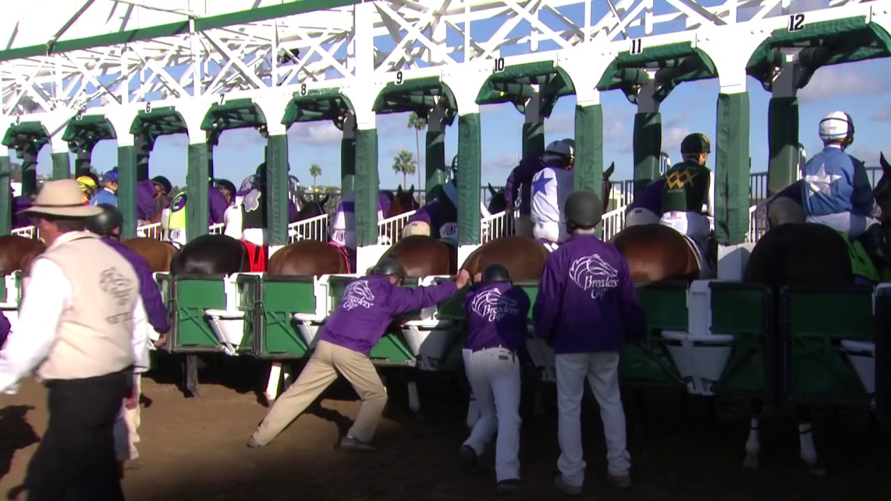 2017 Sentient Jet Breeders' Cup Juvenile - Good Magic