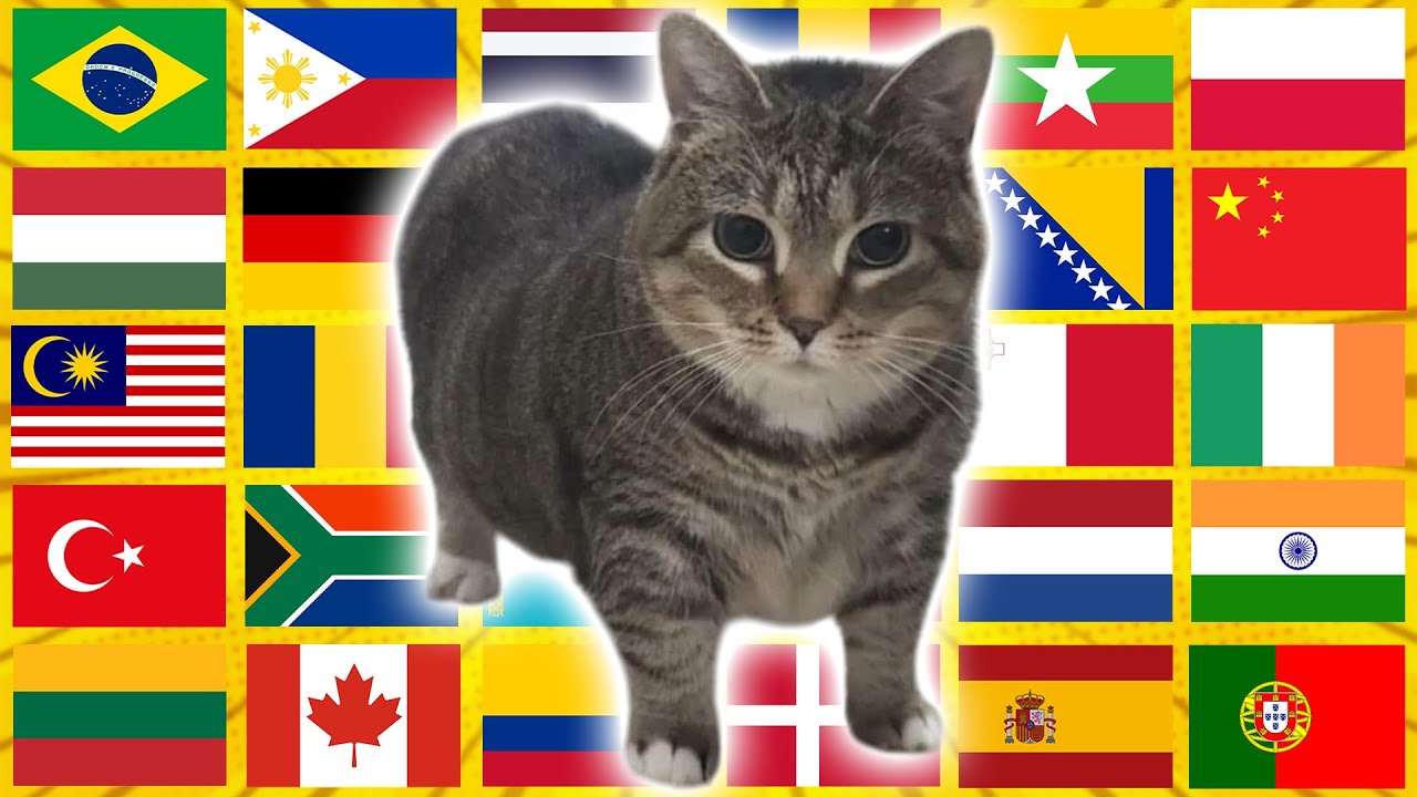 OIIAOIIA Cat in 70 Languages Meme