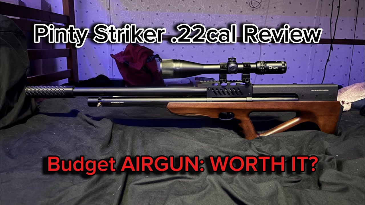 Обзор пистолета Pinty Striker калибра .22