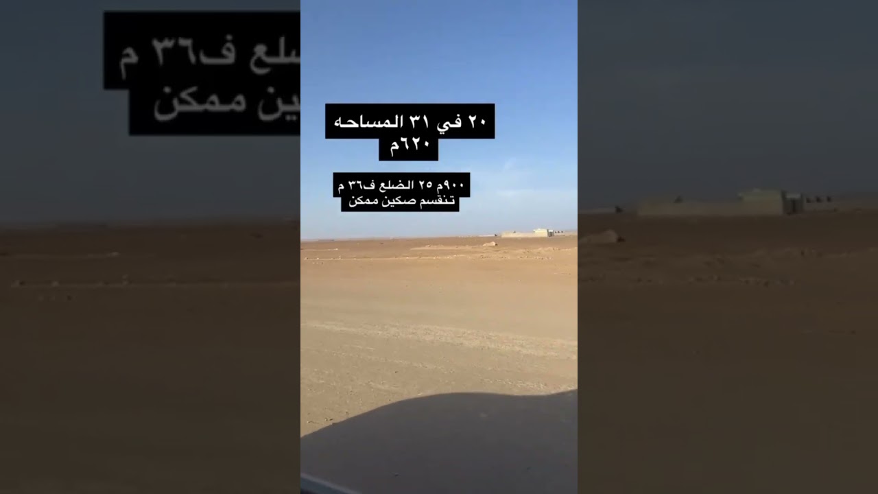 ٦ أغسطس ٢٠٢٤