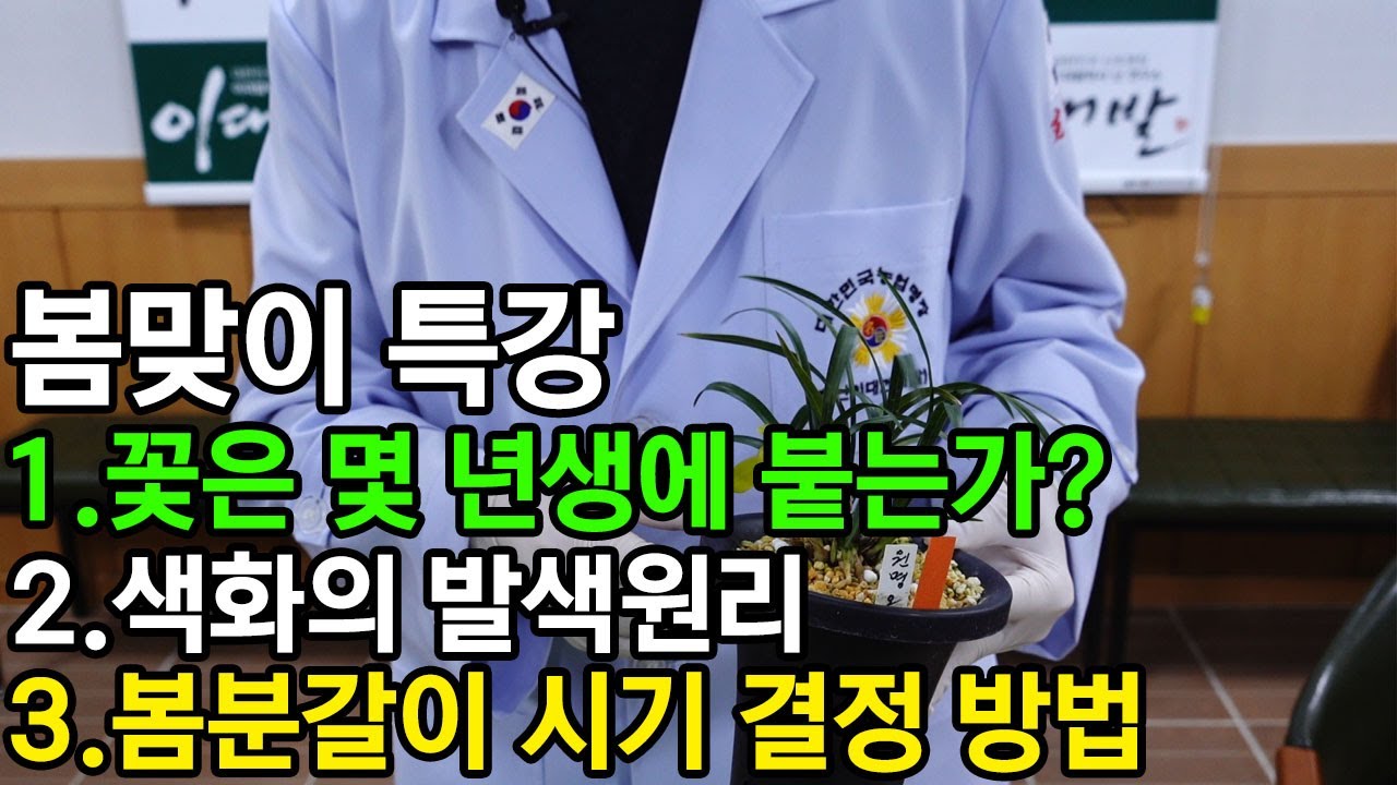 141편 봄맞이 기획 특강(4000구독 감사) [춘란,풍란,약초,명장,다육,난초,주식,재테크]
