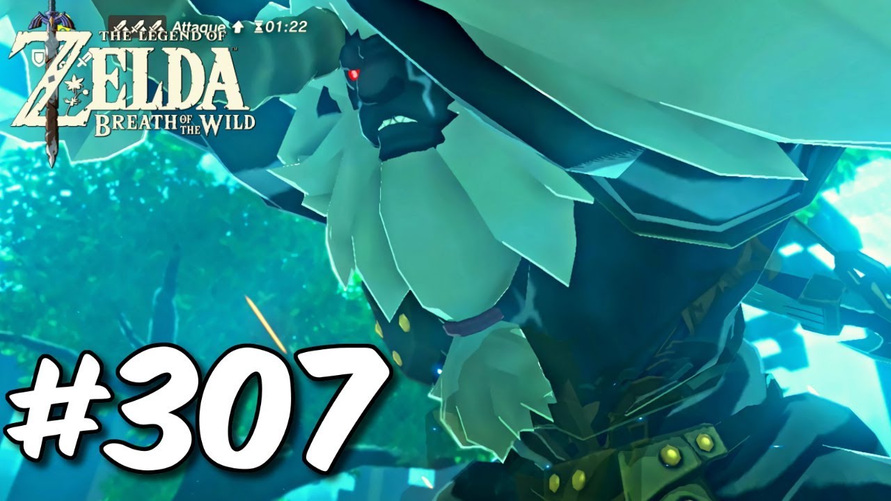 Zelda Breath of the Wild #307 Combat Final - Zelda BotW l'Épée de Légende