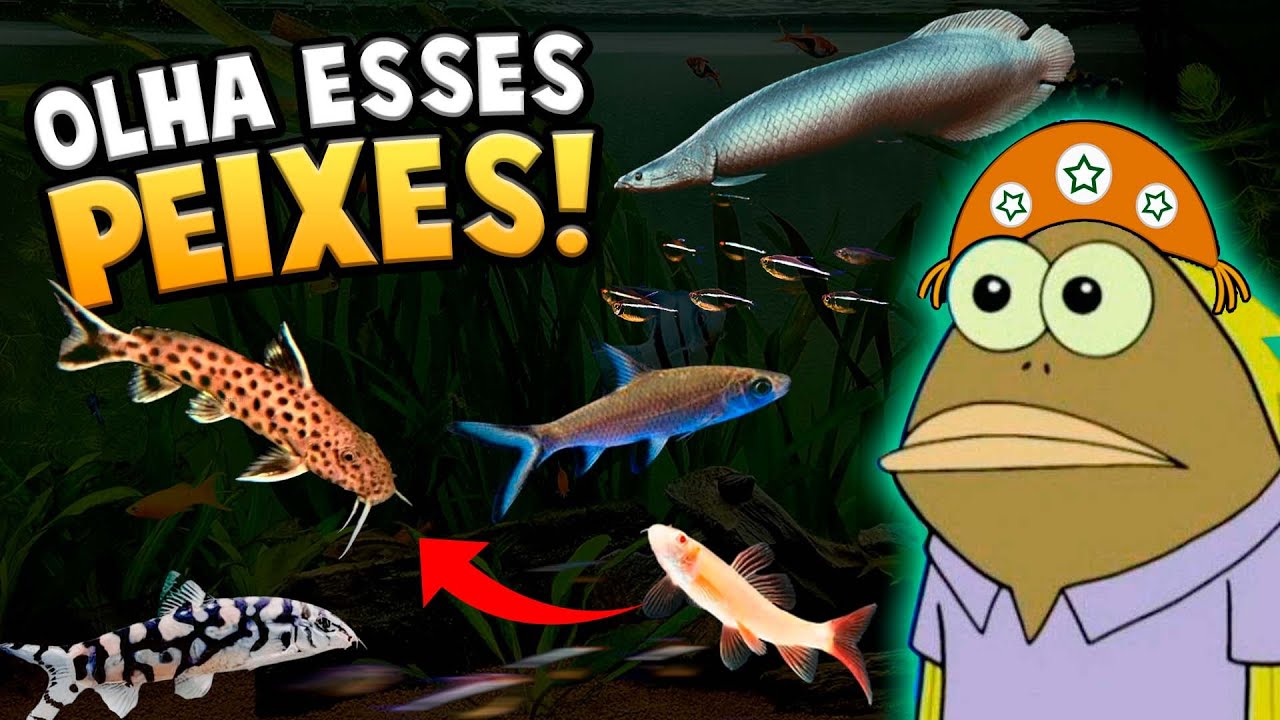 PEIXES INCRÍVEIS na Loja Multiverso Fish