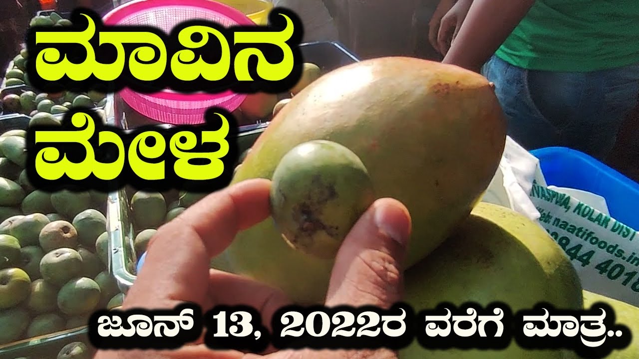 Lal bagh Mango Mela Bangalore 2022 | ಮಾವಿನ ಮೇಳ | Variety And Price List | Mango Exhibition Review