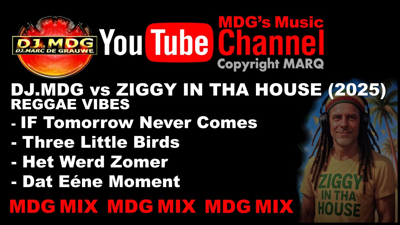 REGGAE VIBES    DJ MDG vs ZIGGY IN THA HOUSE 2025 MDG MIX