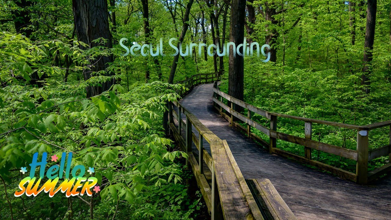 Explore Seoul: Where Every Corner Holds a Story