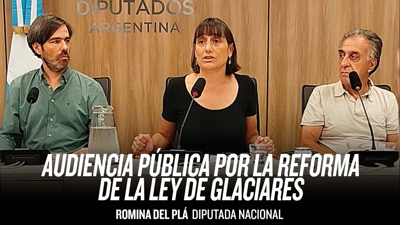 Audiencia pública por la reforma de la Ley de Glaciares // Romina Del Plá