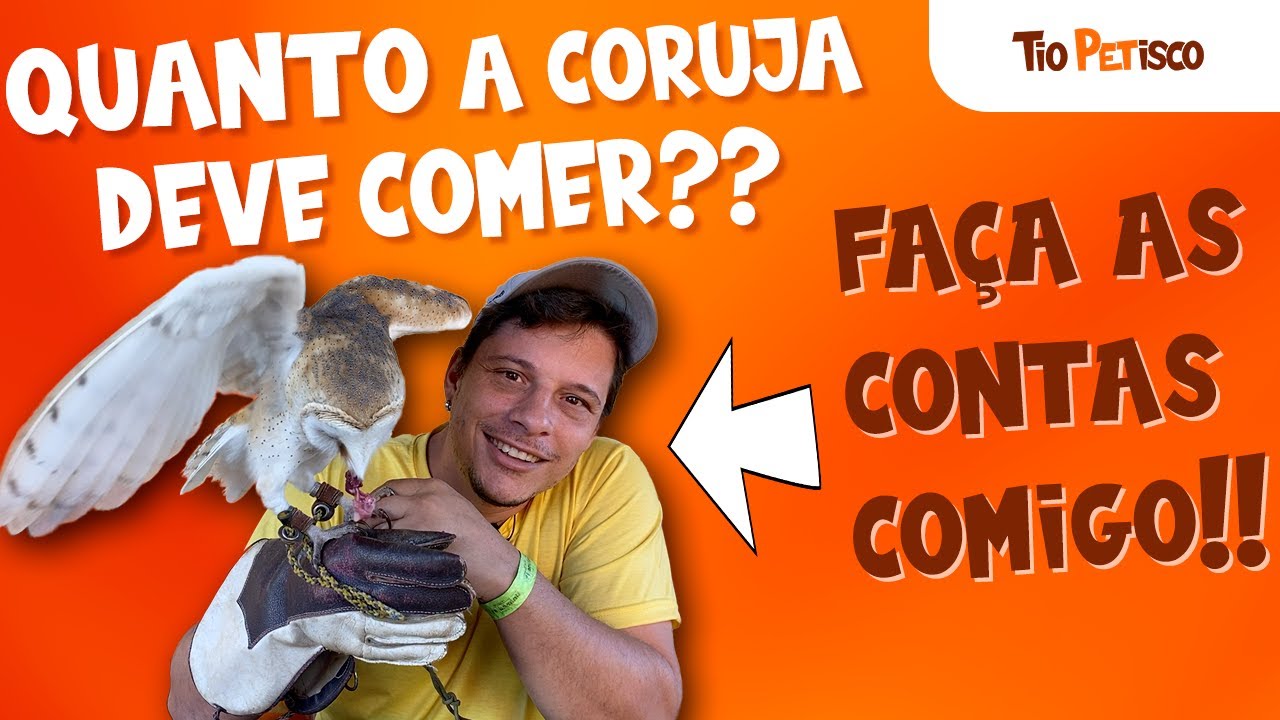 ALIMENTAÇÃO DA CORUJA - Aprenda a quantidade certa!