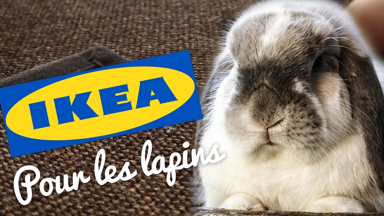 IKEA pour les lapins