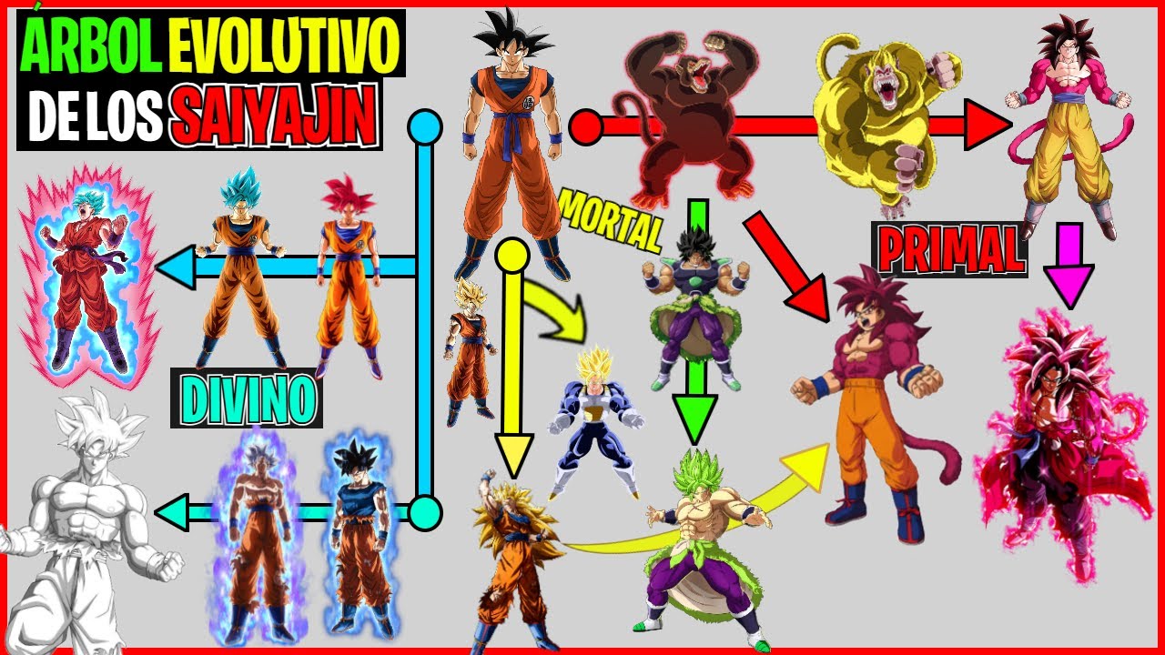 ÁRBOL EVOLUTIVO de los SAIYAJIN (TODAS las FORMAS y TRANSFORMACIONES) Con NIVELES de PODER