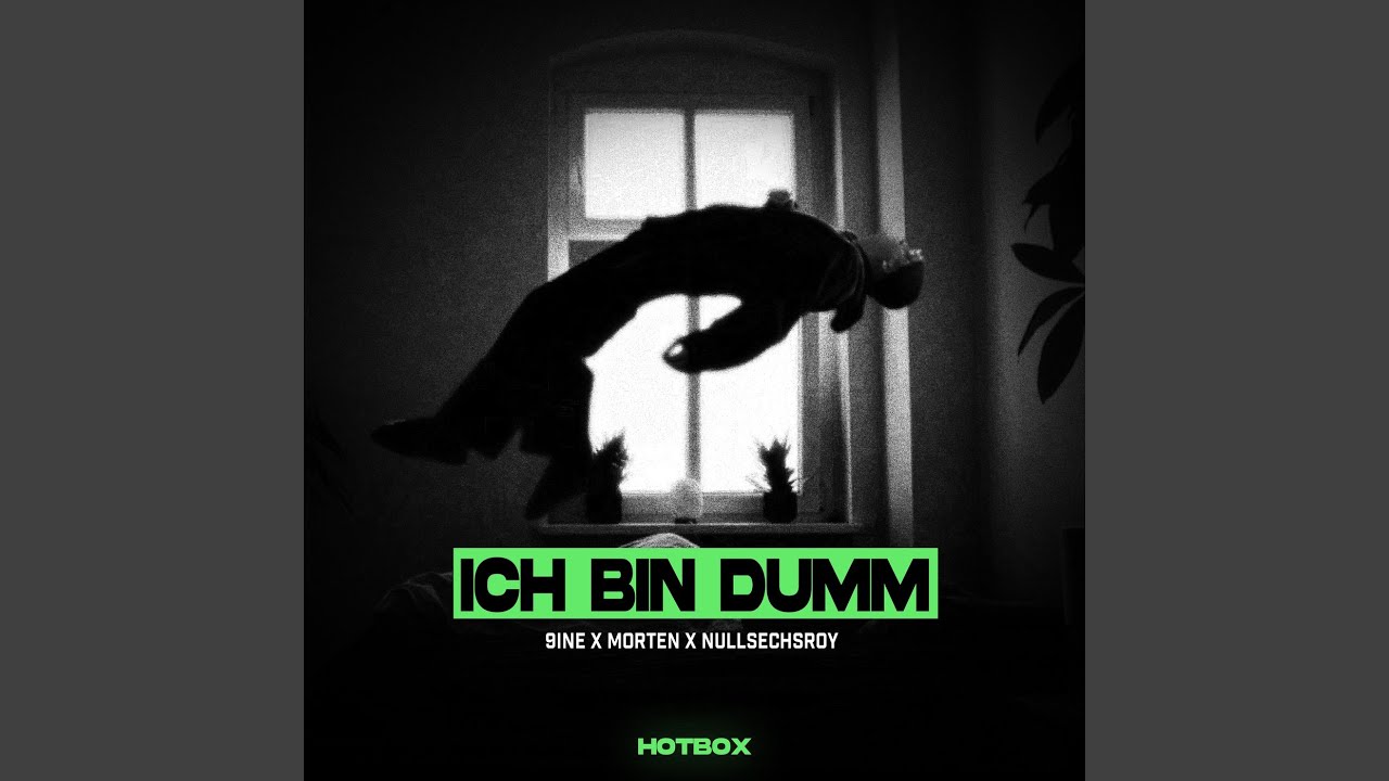 ICH BIN DUMM