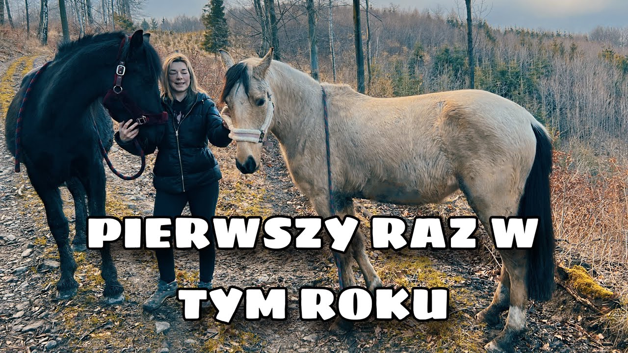 IDZIEMY NA SPACER PO GÓRACH Z KOŃMI!  DANTE SIĘ ODPALIŁ || VLOG 56