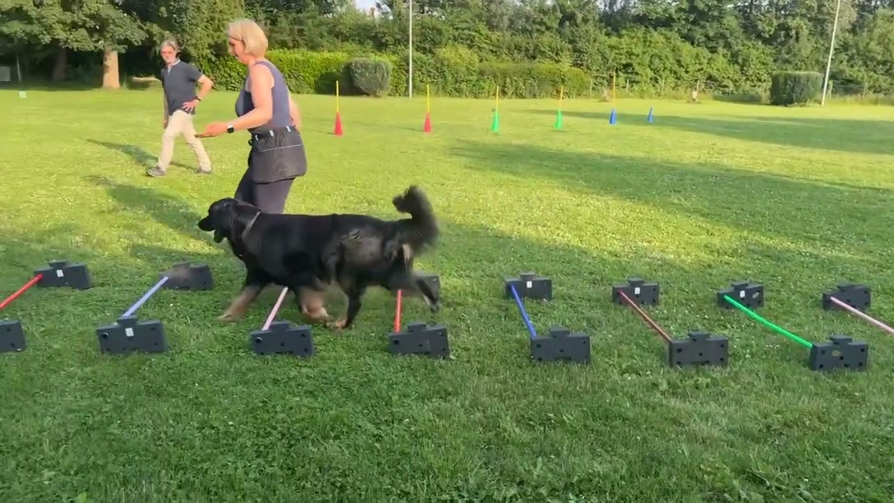 Abwechslung im Training ♥️