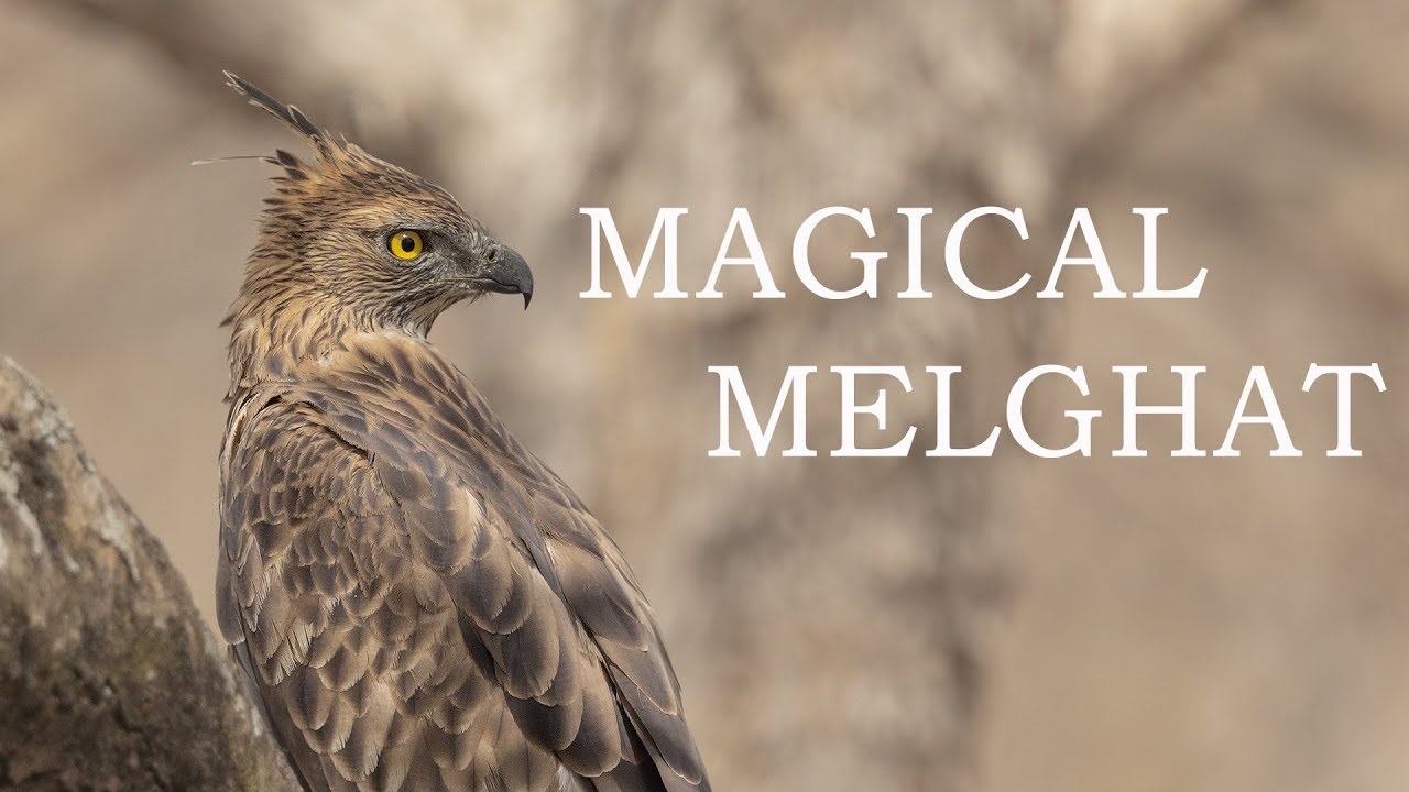 Magical Melghat Promo